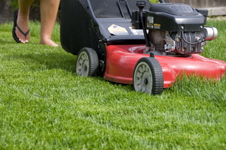 mower_000009726078medium