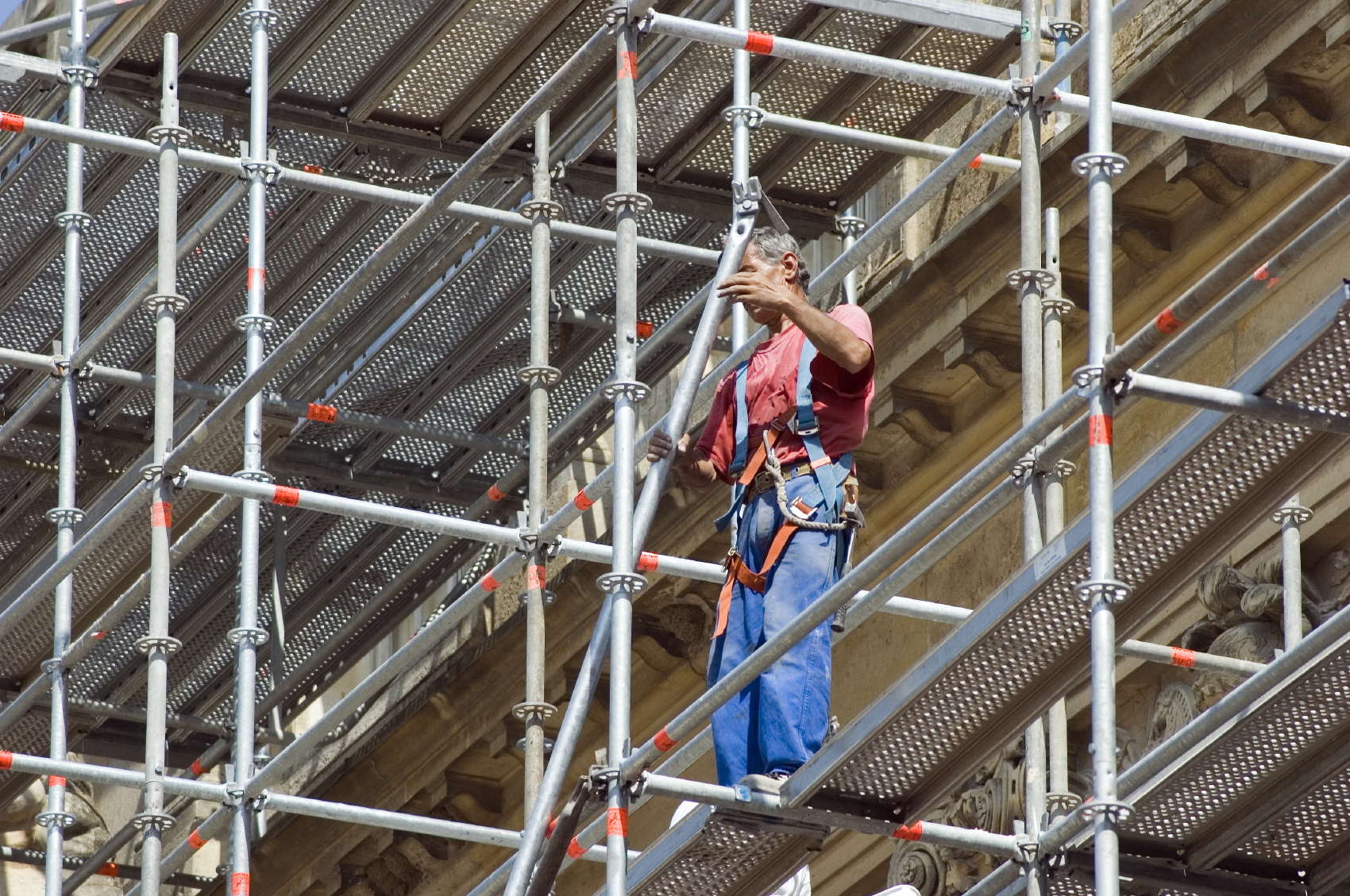 scaffold