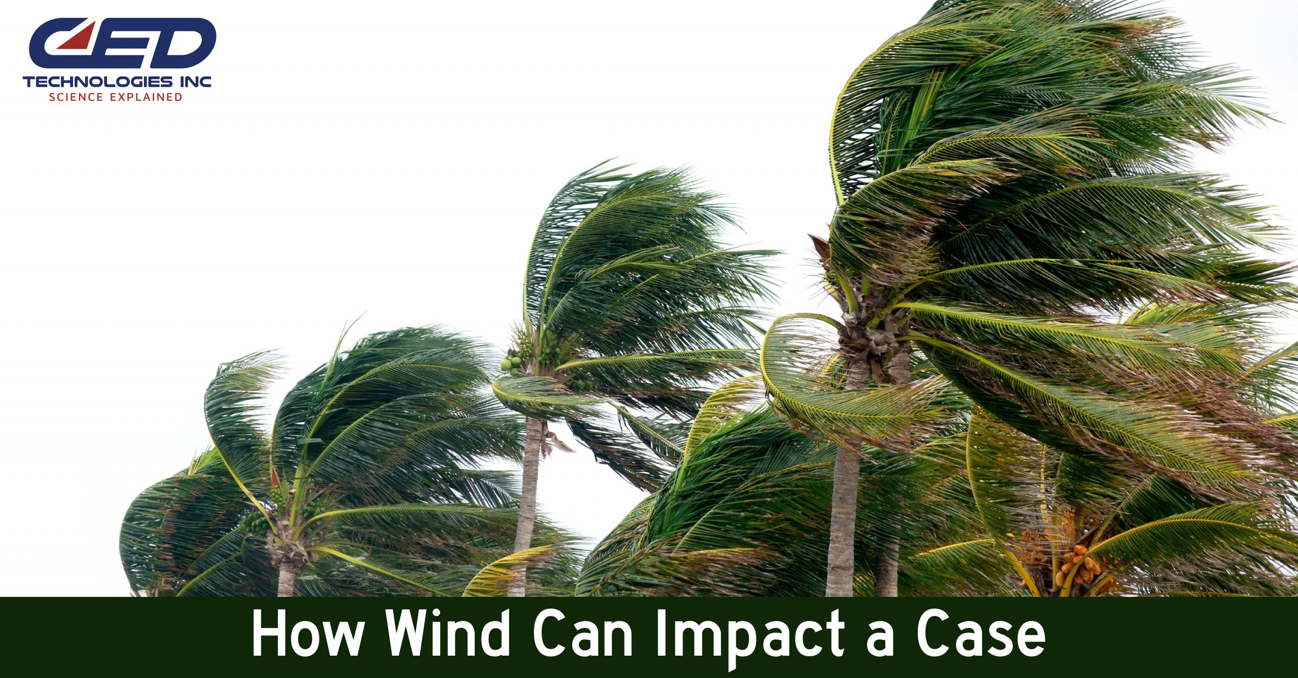 Wind Impacts on Accidents