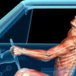 Biomechanical Article Cover Photo