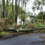 Super Storm Sandy Damage